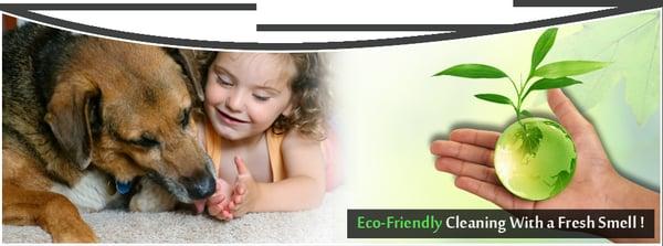 Greenville Dry Carpet Cleaning