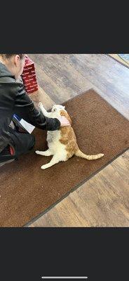 Village Pet Supplies & Gifts