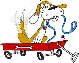 Snaggle Foot Wake Forest