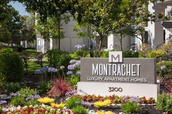 Montrachet