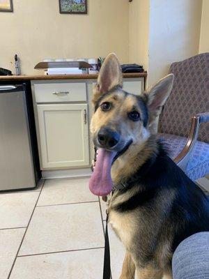 Snowden Grove Animal Hospital