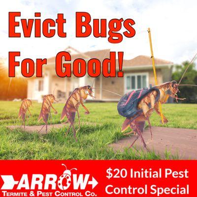 Arrow Termite & Pest Control - Lafayette