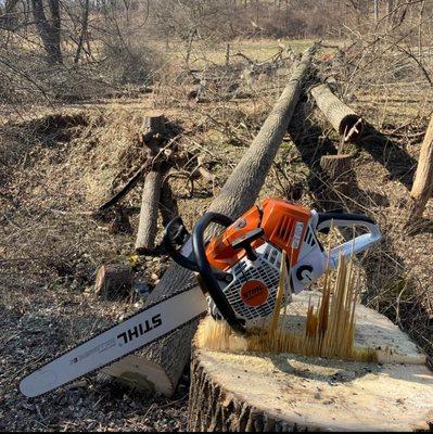 Long's Property Services