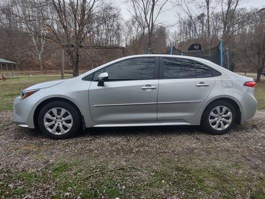 Tina's Tinting