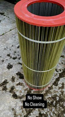 Filthy Disgusting Filter - Lazy Company - No cleaning performed