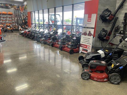 Tri-State Bobcat - Hudson