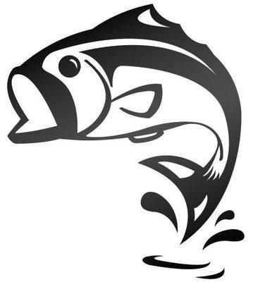 Lake Maintenance Service