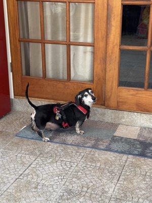 Roscoe