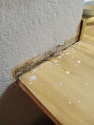 Vandenberghe Properties