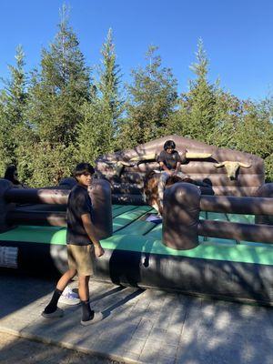 Crazy Rides Mechanical Bulls Party Rental