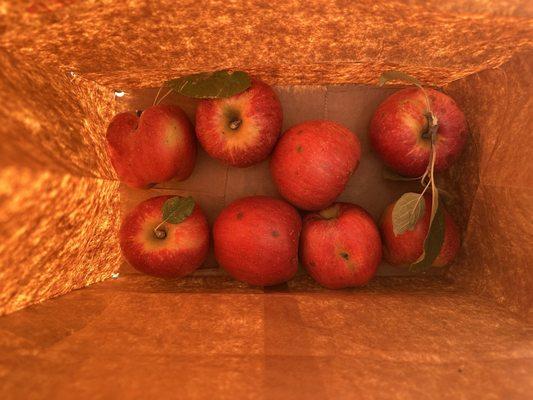 Turkey Creek Orchard