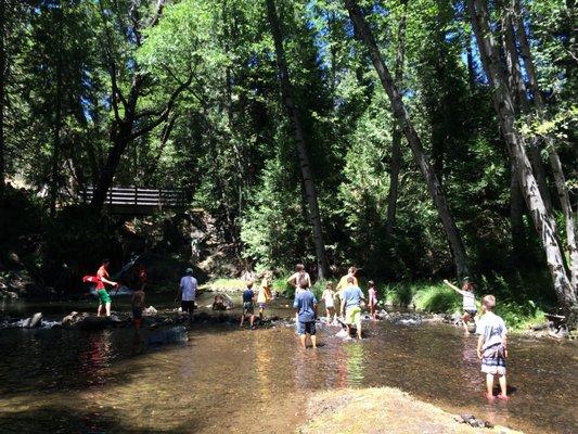 YMCA - Bear Valley Camp