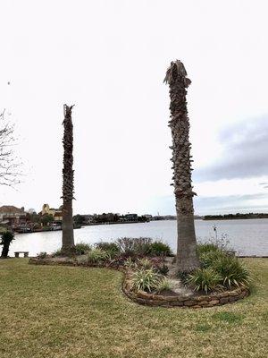 Aesthetics Trees & Landscaping