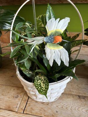 Expressions Floral & Gift Shoppe Inc