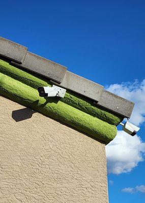 Solution Tech Support