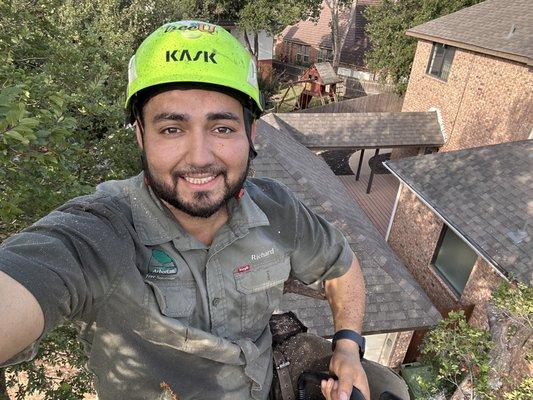 Arbor Con Tree Solutions