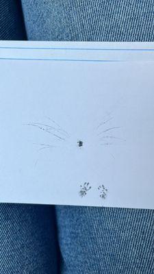 Bear River Veterinary Clinic