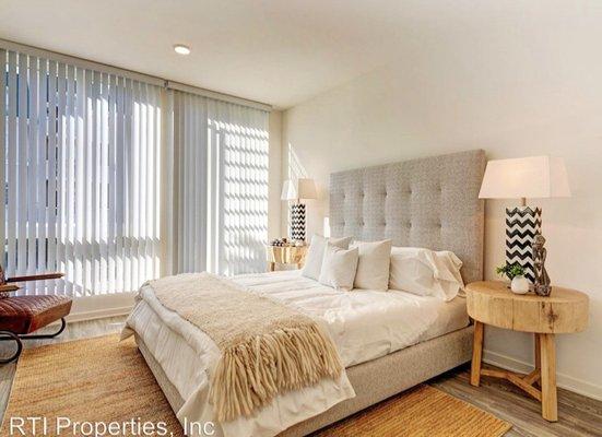 Master Bedroom with High Ceilings and Windows. Amazing Natural Sunlight!
