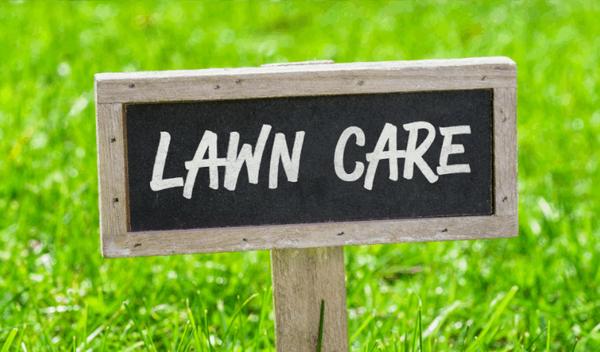 Atkinson lawn care