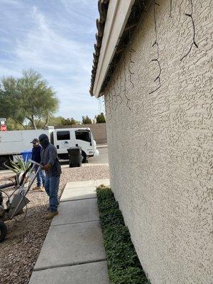 Ash Tree Service And Yard Works