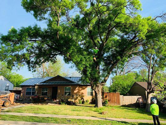 Brothers Tree Service & Landscaping