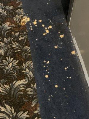 Ramada By Wyndham SeaTac Airport North