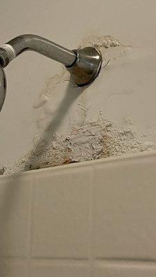 Falcon Creek Luxury Apartments