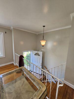 Toto's Painting and Handyman