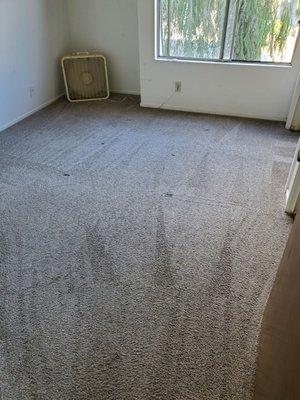 CST Carpet & Tile And Grout