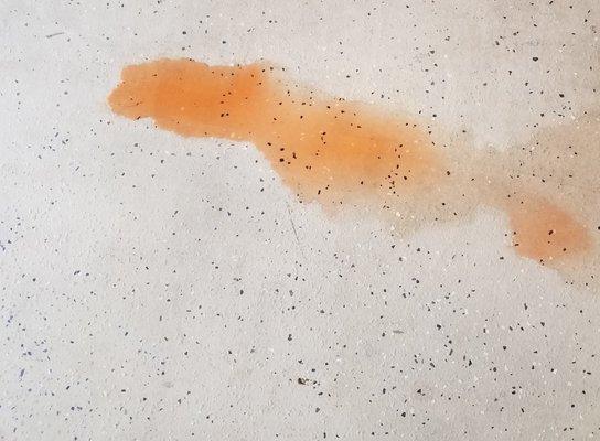 Had To Scrub The Garage Floor