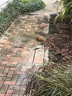 Antonio Barros Pavers