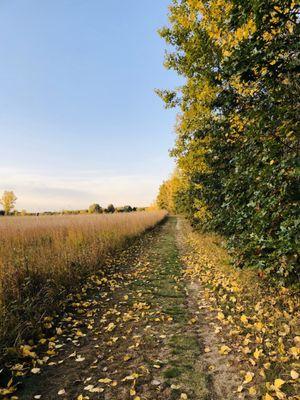 Flushing Township Nature Park