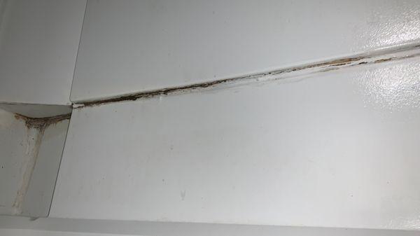 Tub on first day I used shower