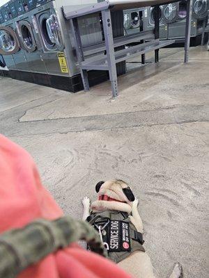 Quik Trip Laundromat