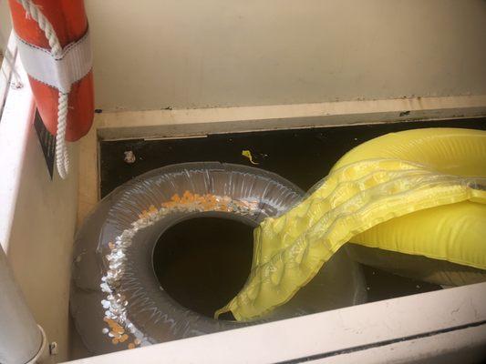 Glass bottom boat a joke. Probably never cleaned. More like a trash bin. Crab island was gross water