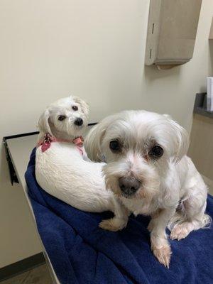 Emily and Mony inside the exam room!