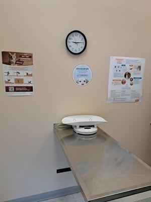 Martha Lake Vet Clinic