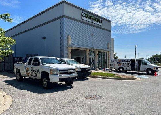 Wildcat Carpet Cleaning