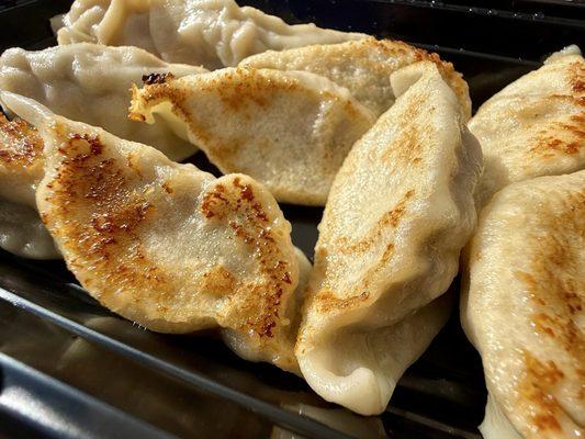 Chicken Dumplings