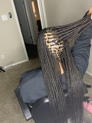 Braids by ilda