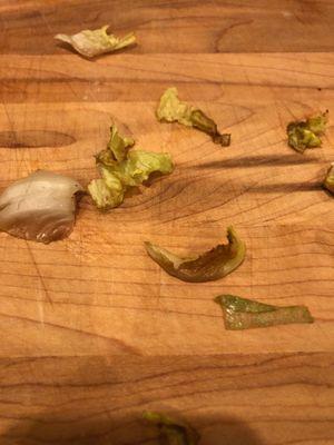 brown, rotten lettuce