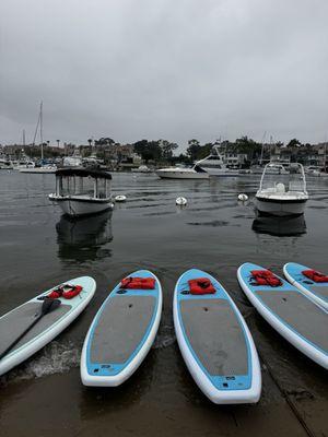Morning Paddle Board Session.