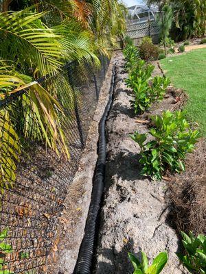 Tampa Environmental Solutions