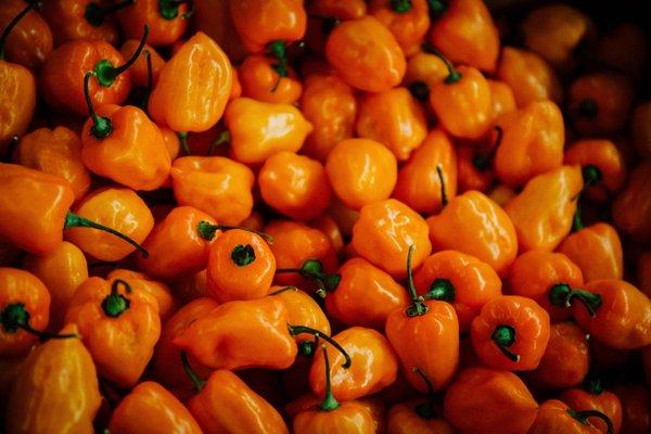 Aramburo Produce - Habanero Chile