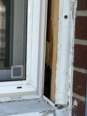 Joseph Seifert Contracting