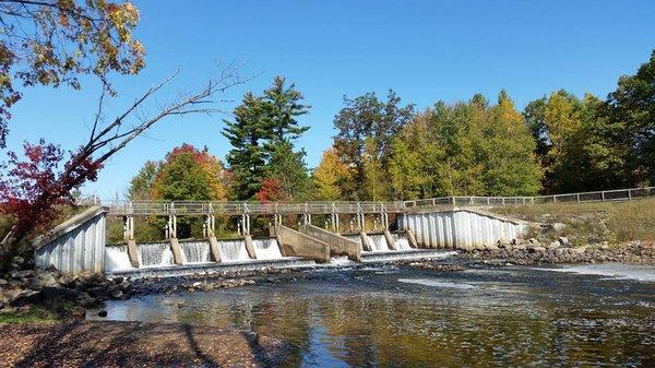 Reedsburg Dam State Forest Campground