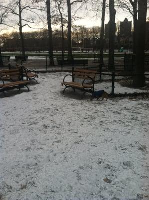 Williamsbridge Oval