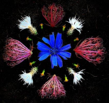 Glenda Luck - Keller Williams Realty