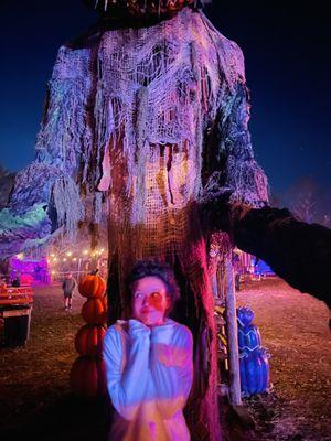 Millers Thrillers Haunted Woods