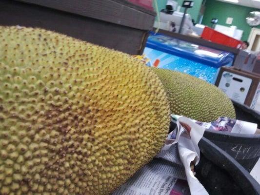 30lb Jackfruit!